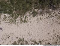 sand overgrown grassy 0002